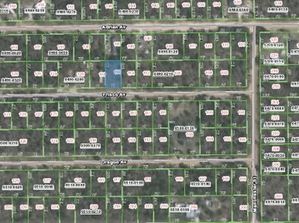 116 Frisco Ave, Interlachen, FL 32148