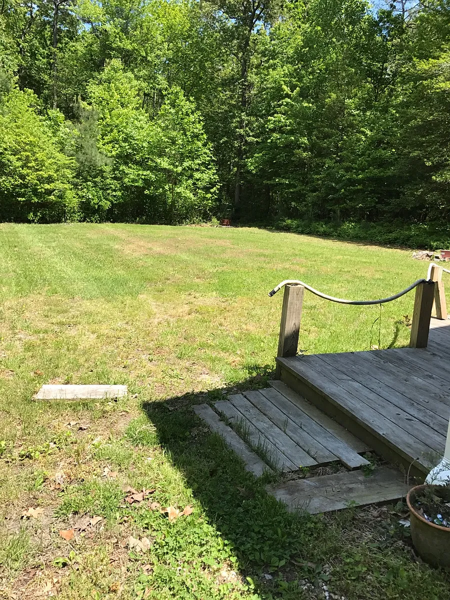 Side Yard - 34034 Cherry Walk Dr