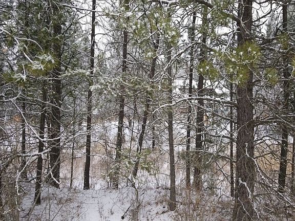 3rd image of 429871 Highway 20