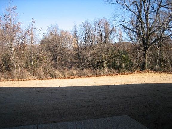 View from Covered Patio