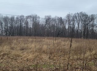 PARCEL Dildine Rd #C, Ionia, MI 48846