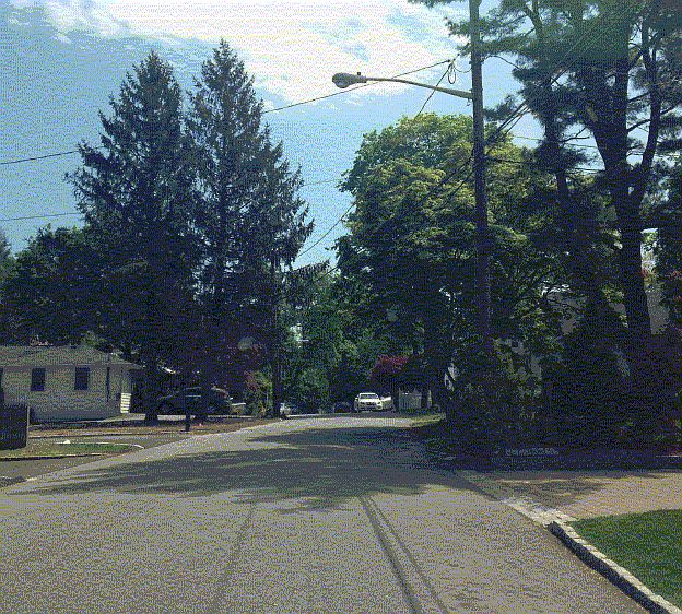 2nd image of 36 Edwards Pl