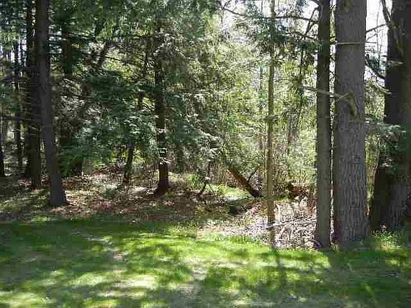 2nd image of 8455 Constitution Blvd