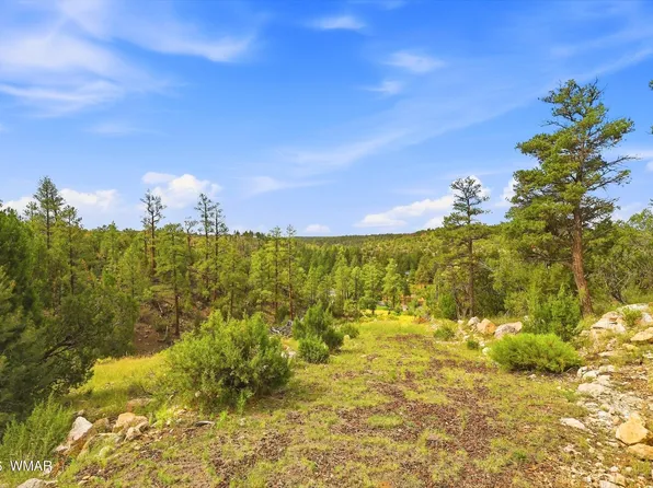 1740 Eskimo Ln, Heber, AZ 85928