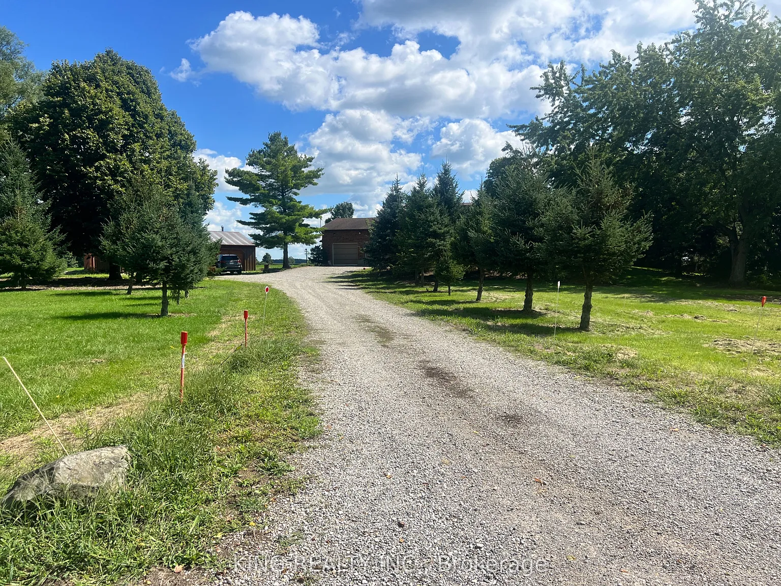 1 bed, $1,200 — Photo 2