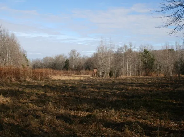 0 Rushing Ln, Lexington, TN 38351