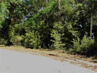Xxx Tom White Ln, Crawfordville, FL, 32327