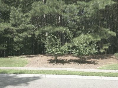 815 Waterford Estates Mnr Lot 96, Canton, GA, 30115