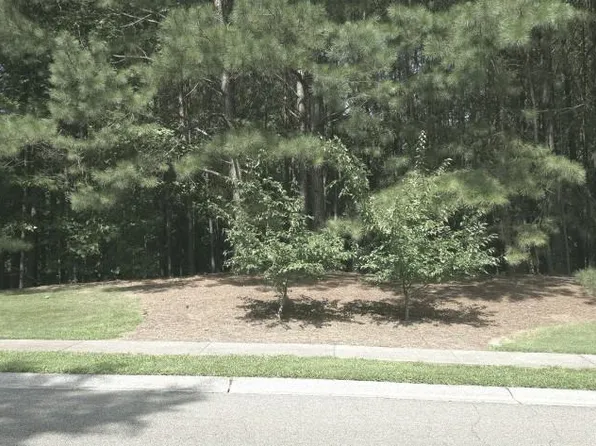 815 Waterford Estates Mnr Lot 96, Canton, GA 30115