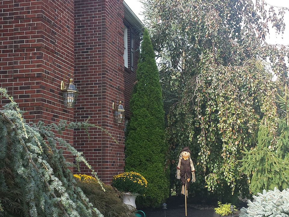2nd image of 20 Lions Ct