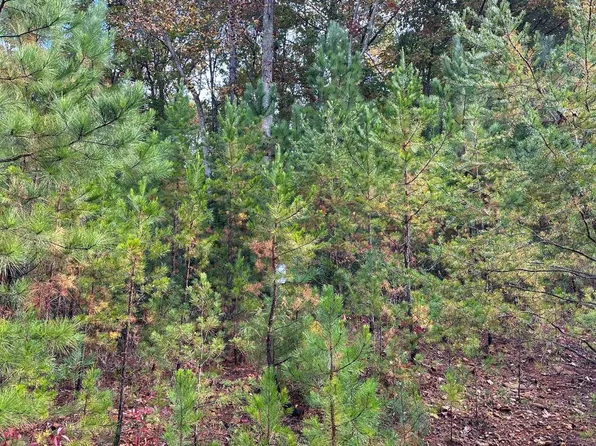 LOT 224 Rushing Water Dr, Blairsville, GA 30512