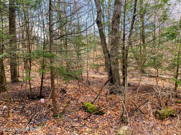 11 Driftwood Dr, Blakeslee, PA 18610