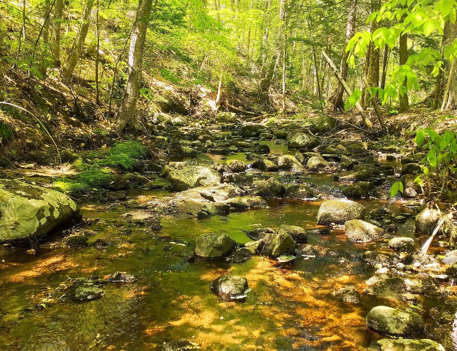 5 Mount Pisgah Road, Wayne, ME 04284 MLS 1566146 Zillow