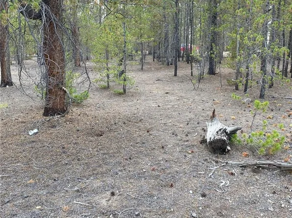 340 Peak View Drive, Leadville, CO 80461