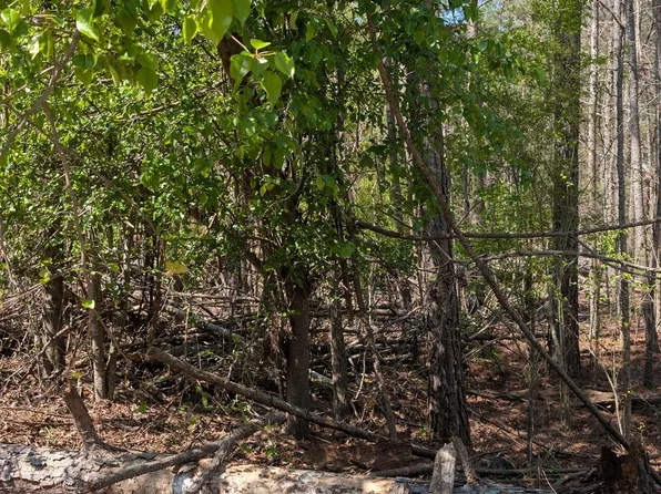 3641 Serenity Ln, Lithonia, GA 30038