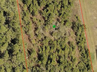 3976 Brantford Rd, New Smyrna Beach, FL 32168