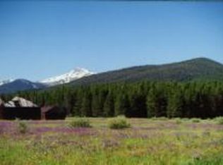 1484 Moose Run Ln, Fraser, CO 80442