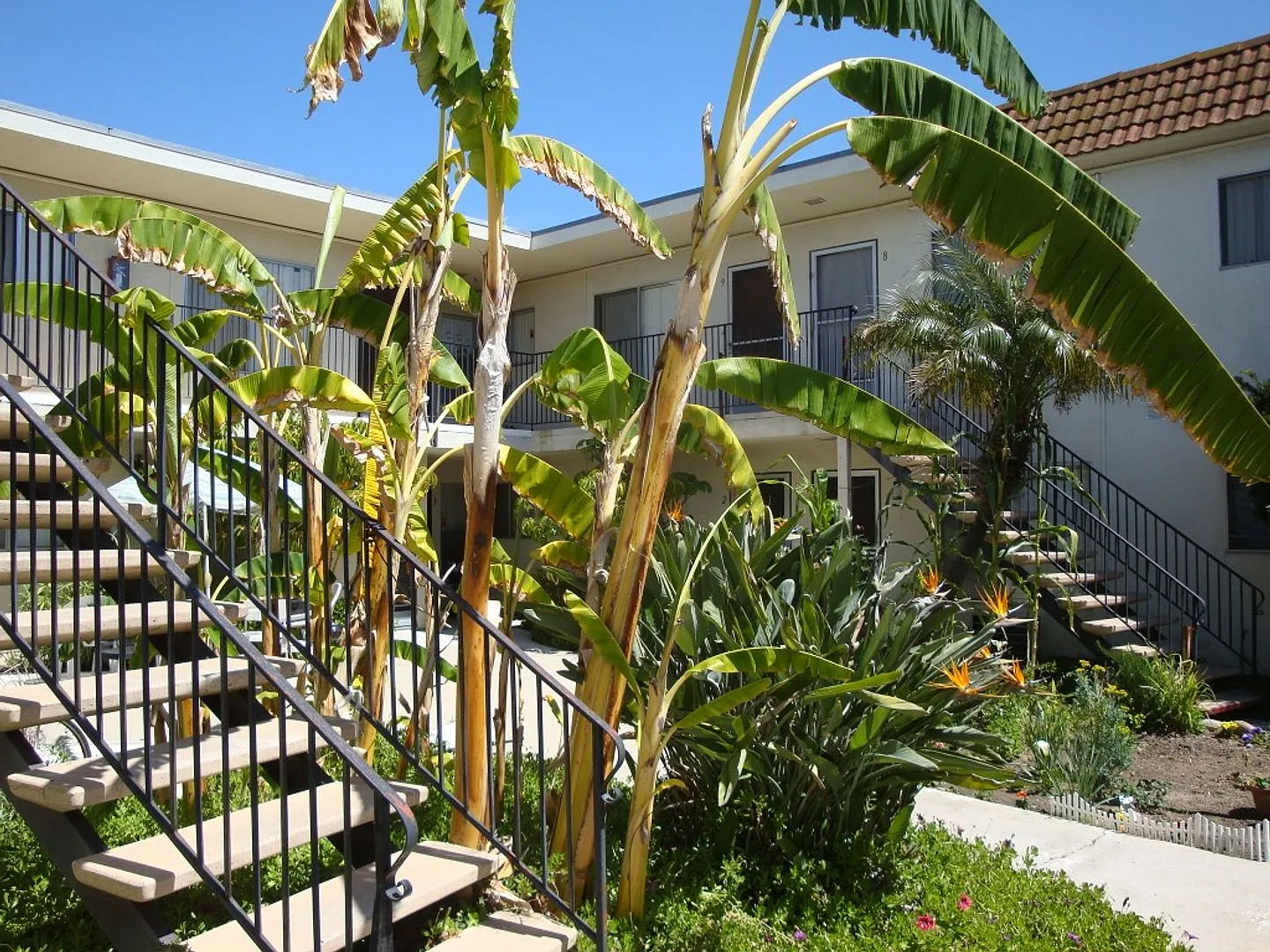 Kansas Apartments — Photo 2