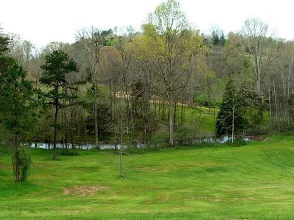 5303&5307 Bear Creek Rd, Birchwood, TN 37308