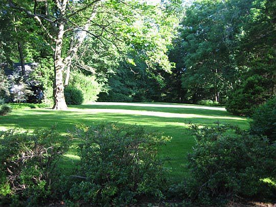 Expansiive Front Lawn