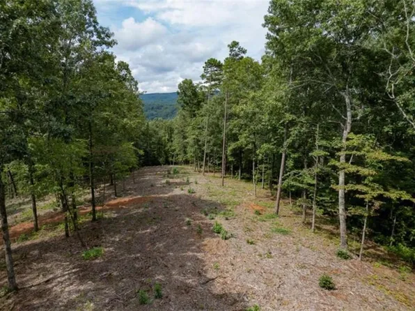 31 Pebble Trce #315, Talking Rock, GA 30175