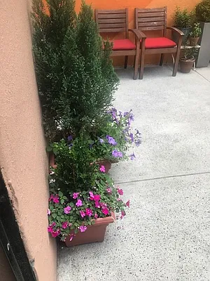 Rented by Perry Associates NYC Inc | media 31