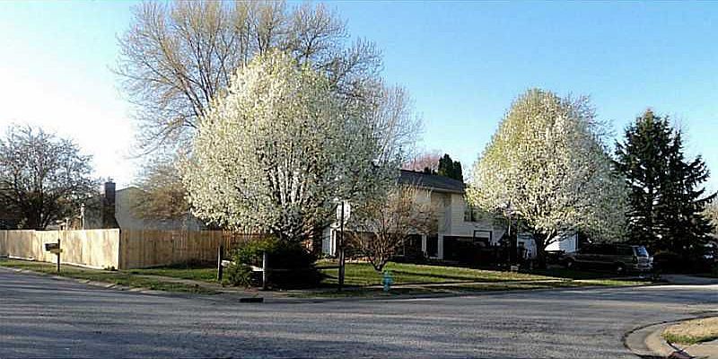 2nd image of 6632 Cordova Ct