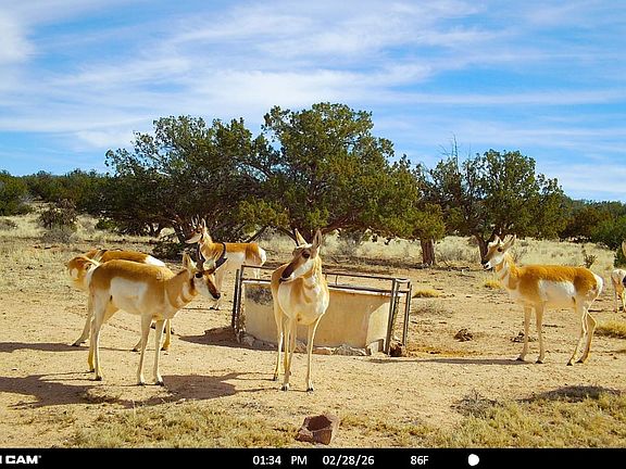 Stc 3083 Eason Ranch Lr Wm