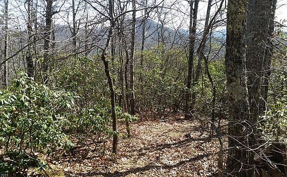 2nd image of 241 Miller Cove Rd #19