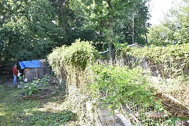 Rented by Clove Realty LLC