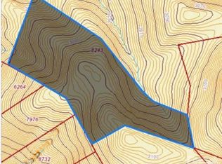 99999-24 Nesbitt Chapel Rd, Fairview, NC 28730