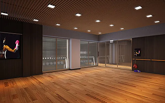 Rented by BSD Realty Worldwide Inc | media 29