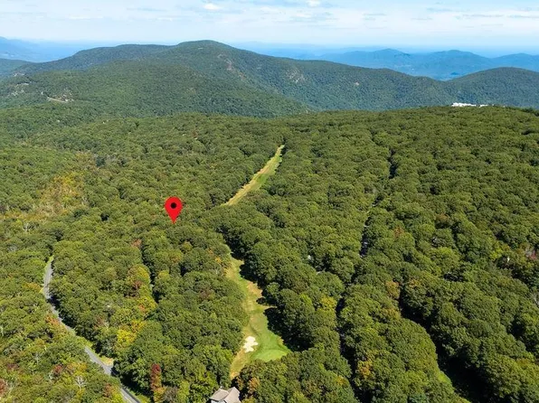 88 Deerberry Ln, Roseland, VA 22967