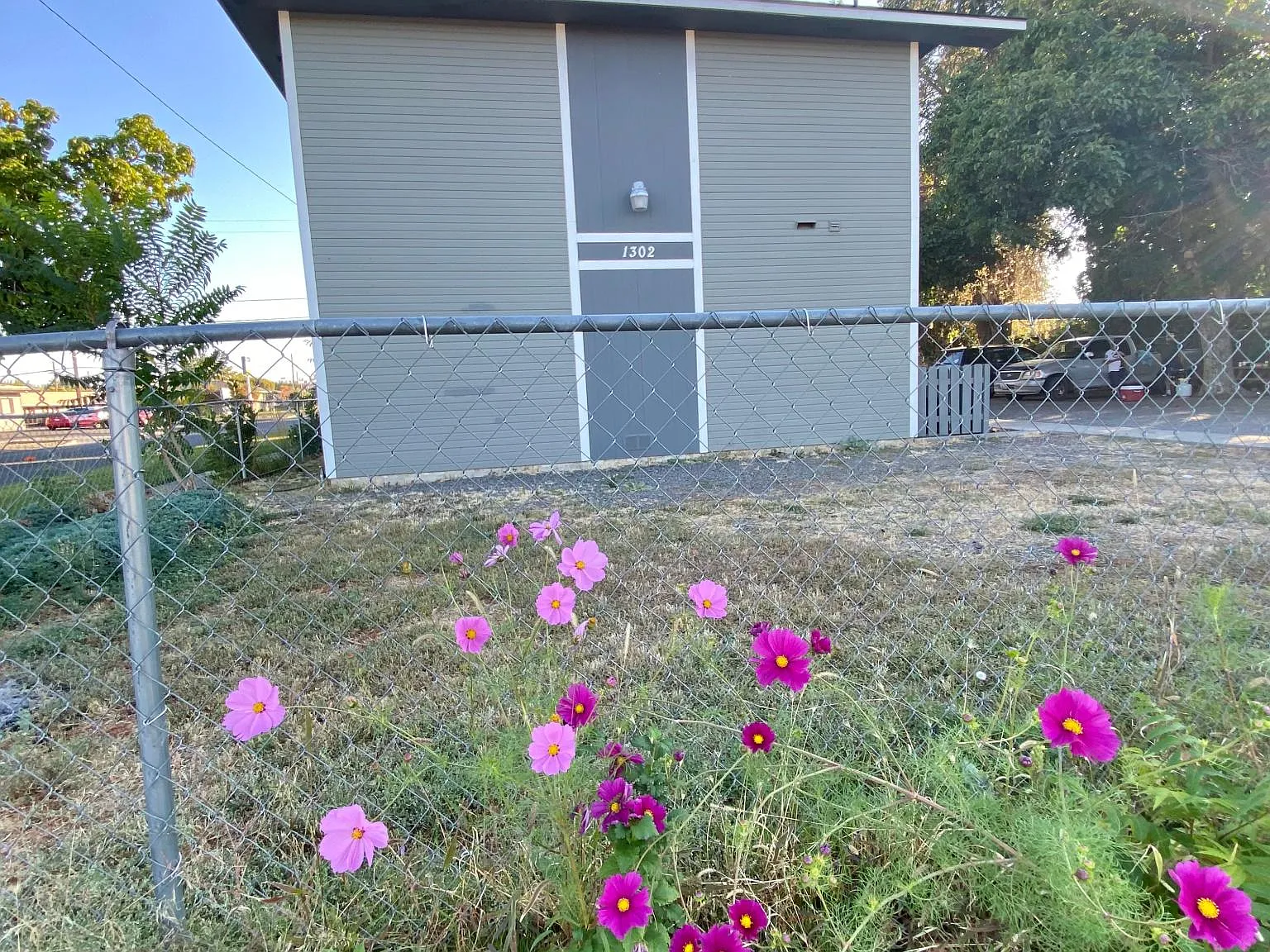 1 bed, 800 sqft, $900 — Photo 3