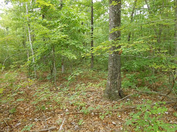 5th image of 38.62 Pickett Park Hwy