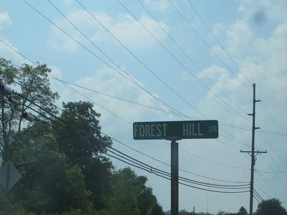 5th image of 1186 Forest Hill Dr