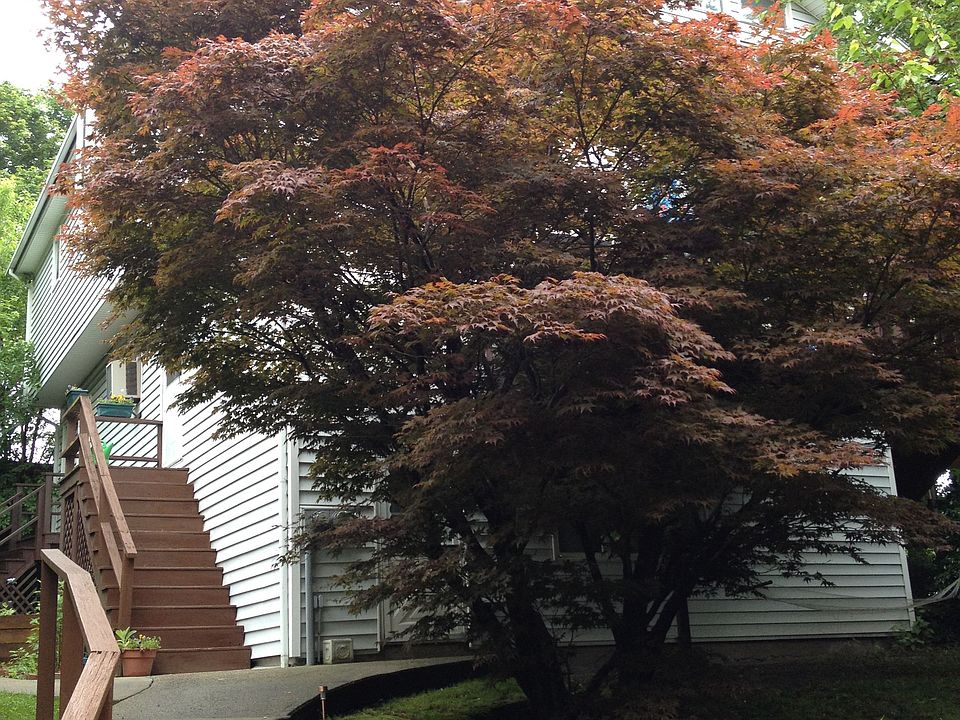 63 Briar Hill Drive
