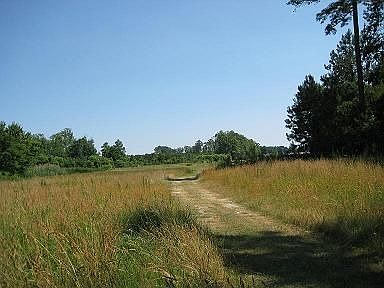 60+ Acres Perfect for Retreat