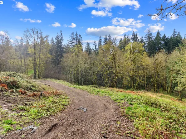 183 Feather Ridge Dr, Woodland, WA 98674