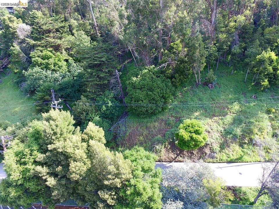 1st image of Scout Rd