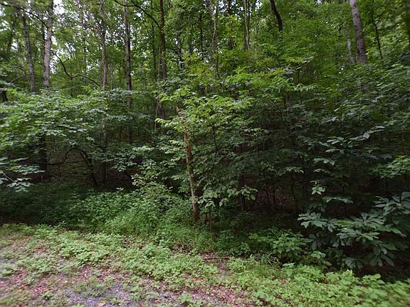 3rd image of 0 Vance Winstead Ln
