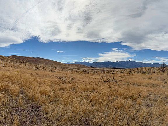 3rd image of Pinenut Rd