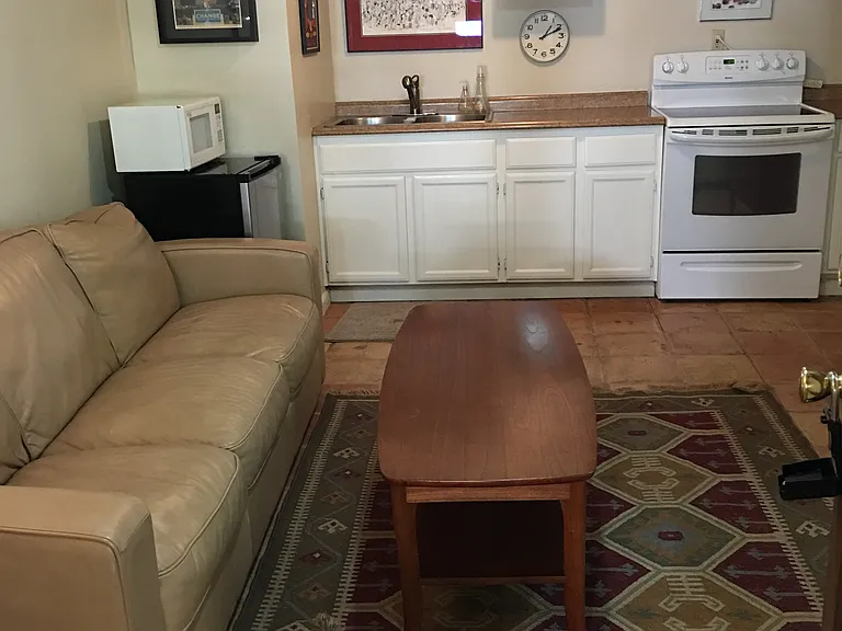 Kitchen/living space - includes full size fridge not shown (does not include dog!)
