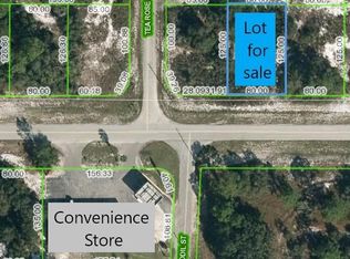3045 Miller Ave, Lake Placid, FL 33852