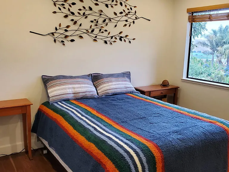3525 Viola Dr — Photo 12