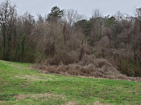 3rd image of 717 Shane Dr Lot 8
