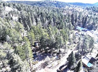 30929 Bear Cub Trl, Conifer, CO 80433