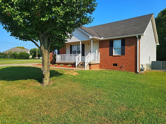 Front yard, beautiful tree
