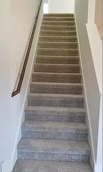 533 Gabrielle Anne Dr — Photo 22