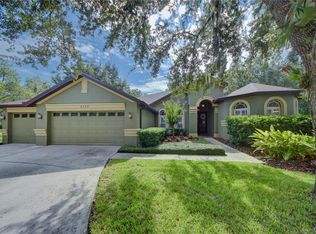 6132 Vireoridge Dr, Lithia, FL 33547